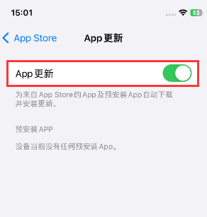 富宁苹果15维修中心如何让iPhone15APP自动更新